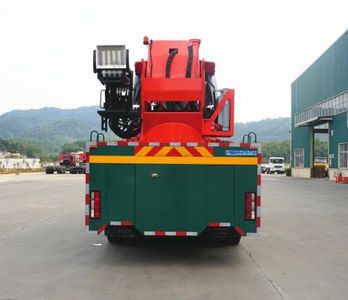 Lingyang  LYP5531JQZHL Car crane