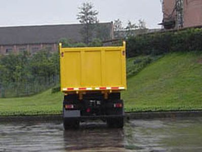 Hongyan  CQ3254TMG434 Dump truck