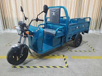 Senxiang  SX1000DZH5 Electric tricycle