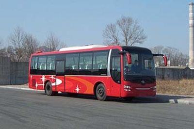 Huanghai  DD6129K64 coach