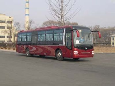 Huanghai  DD6129K64 coach