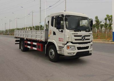 Dayun  CGC1180D5CAEA Truck