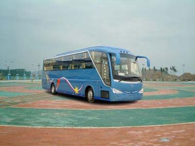 Wuzhoulong  FDG6123DW Sleeper coach