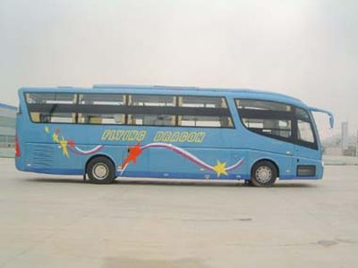 Wuzhoulong  FDG6123DW Sleeper coach