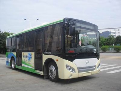 Wuzhoulong  FDG6801EVG Pure electric city buses