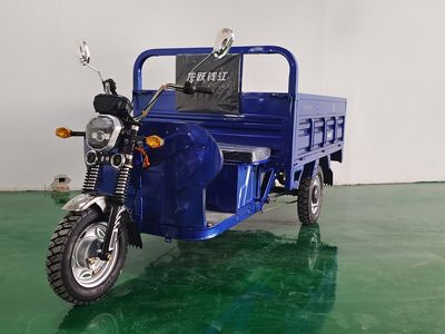 Longyue Qianjiang  QJ1200DZH8 Electric tricycle