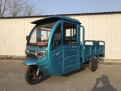 Biao Peng  BP1000DZH6B Electric tricycle