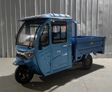 Biao Peng  BP1000DZH6B Electric tricycle