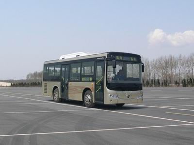 Huanghai  DD6850G04 City buses