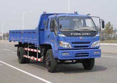 Era  BJ3093DDPFG Dump truck