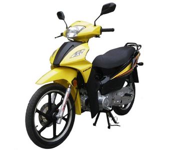 Jinlong  JL11033 Two wheeled motorcycles