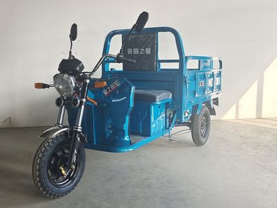 Zongtian Zhixing  ZT1000DZH Electric tricycle