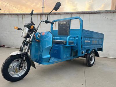 Jin Huang  JH1500DZH3 Electric tricycle