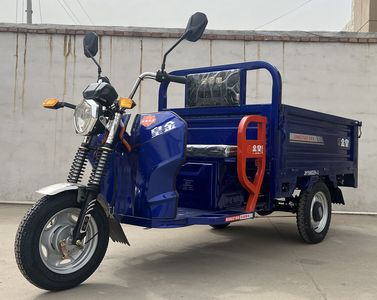 Jin Huang  JH1500DZH3 Electric tricycle