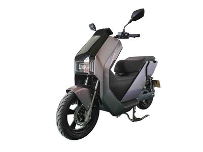 Dayang  DY4000DT Electric two wheeled motorcycle