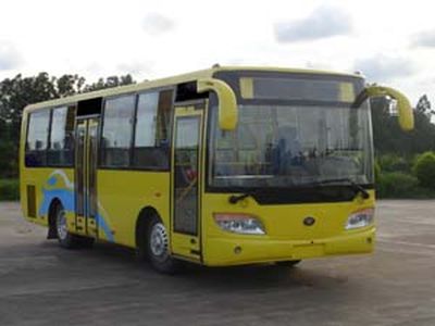 Fujian brand automobiles FJ6821G3 City buses