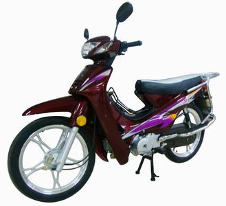 New Feeling  XGJ1107A Two wheeled motorcycles