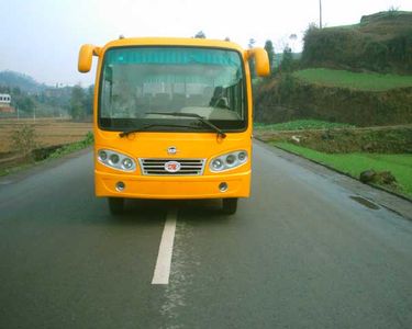 Dayu  DYQ6600A coach