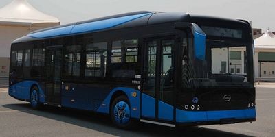 BYD  BYD6123LGEV1 Pure electric low floor city buses