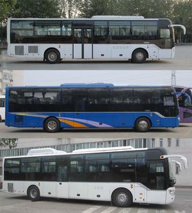 Yutong  ZK6121HNQ5Y coach