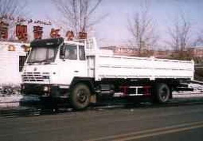 Tianshan TSQ3193Dump truck