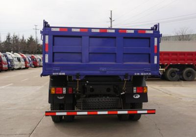 Foton  BJ3043D8PEAFD Dump truck