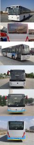 Foton  BJ6123PHEVCA7 Plug in hybrid urban buses