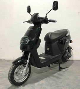 Bond Fujita FSD500DQT3 Electric two wheeled light motorcycle