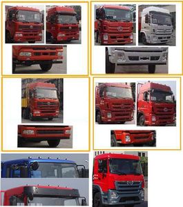 Shitong  STQ1311L16Y4B5 Truck