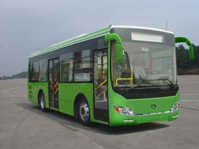 Dongfeng  DHZ6900L1 City buses