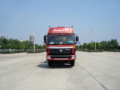 CIMC ZJV3312HJBJB Dump truck