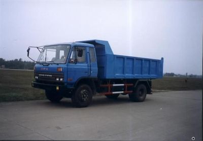 Wangjiang WJ3108G19DDump truck