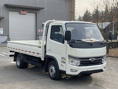 Foton  BJ1035V3JV605 Truck