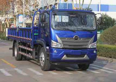 Foton  BJ1164VKPFA01 Truck