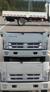 Foton  BJ1043V9PEAB1 Truck