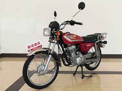 Haojin  HJ1252F Two wheeled motorcycles