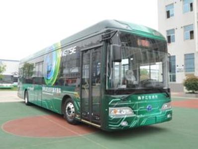 Yangtze River brand automobiles WG6120BEVHM1 Pure electric city buses