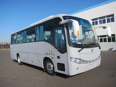 Huanghai  DD6857C10 coach