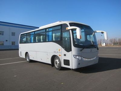 Huanghai  DD6857C10 coach