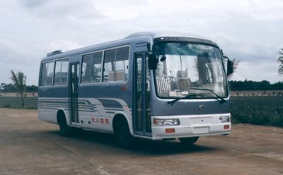 Hongqiao  HQK6790C3M City buses