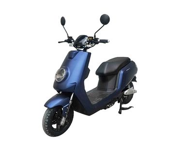 Shanyang  SY800DQT12 Electric two wheeled light motorcycle