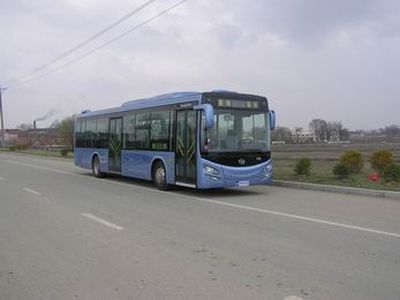 Huanghai  DD6126S12 City buses