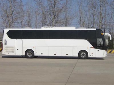 Jinlong  XMQ6125BYD3D coach