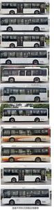 Chinese license plate cars TEG6852BEV05 Pure electric city buses