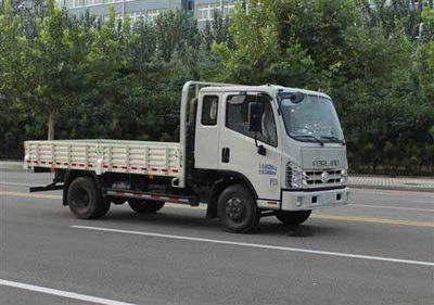 Foton  BJ1043V9PBAFG Truck