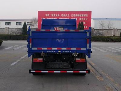 Shifeng  SSF3116DHP43S Dump truck