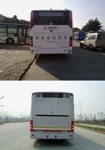 Yaxing  JS6146GHQJ City buses