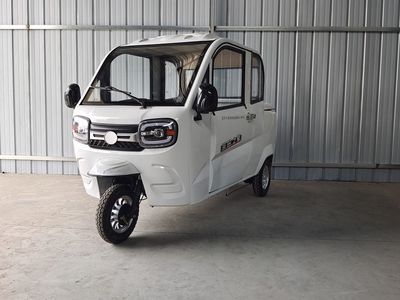 Zongtian Zhixing ZT1200DZHP1Electric tricycle