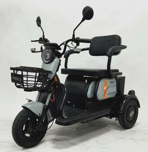 Bond Fujita FSD500DQZ5 Electric three wheeled light motorcycle