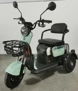 Bond Fujita FSD500DQZ5 Electric three wheeled light motorcycle